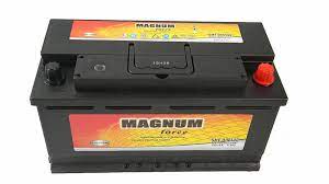 MAGNUM FORCE